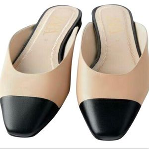 Zara Toe Cap Two Tone Mules